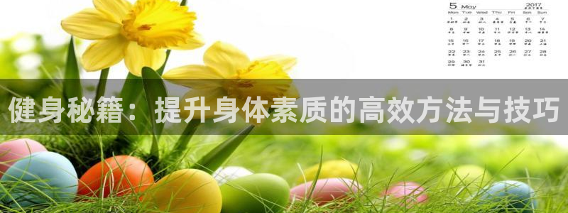 米兰体育报：健身秘籍：提升身体素质的高效方法与技巧