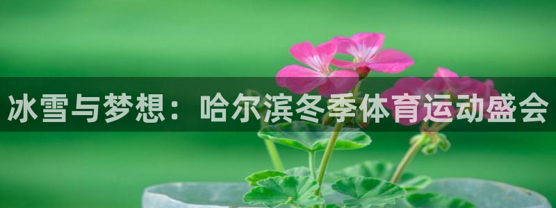 米兰体育app下载：冰雪与梦想：哈尔滨冬季体育运动盛会