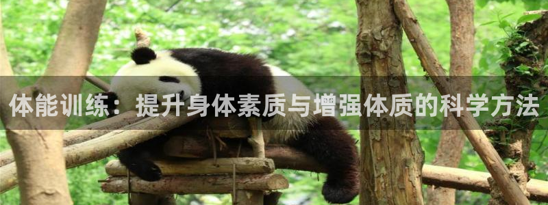 米兰体育场：体能训练：提升身体素质与增强体质的科学方法