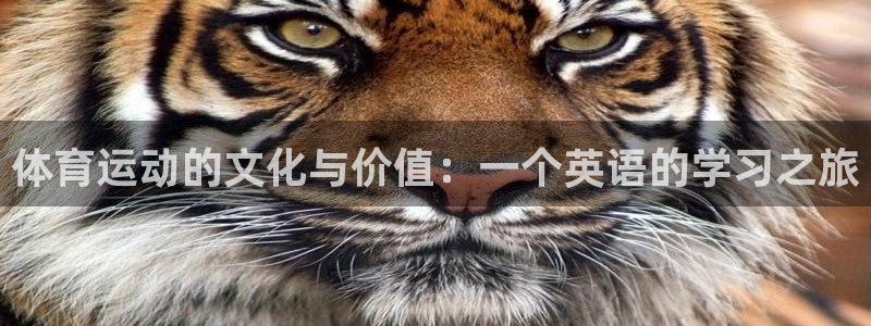 米兰体育：体育运动的文化与价值：一个英语的学习之旅