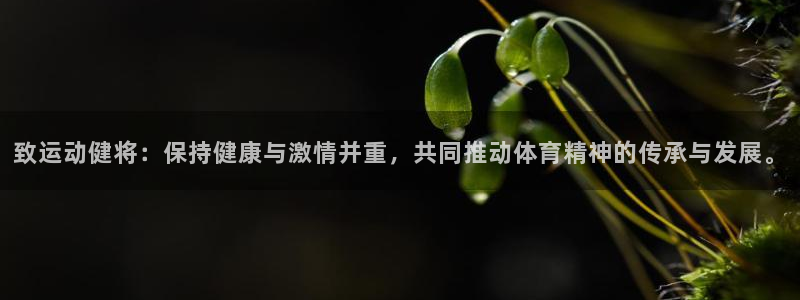 米兰体育平台：致运动健将：保持健康与激情并重，共同推动体育精神的传承与发展。