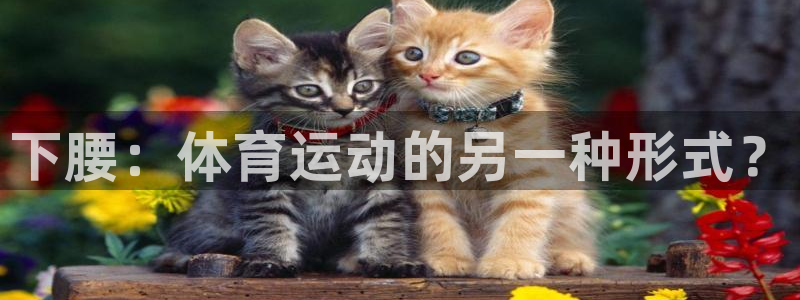 米兰体育场：下腰：体育运动的另一种形式？