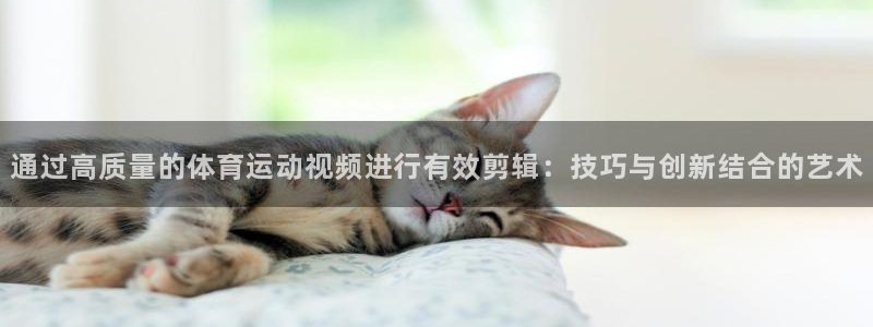 米兰体育官网入口：通过高质量的体育运动视频进行有效剪辑：技巧与创新结合的艺术