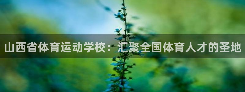 米兰体育下载：山西省体育运动学校：汇聚全国体育人才的圣地