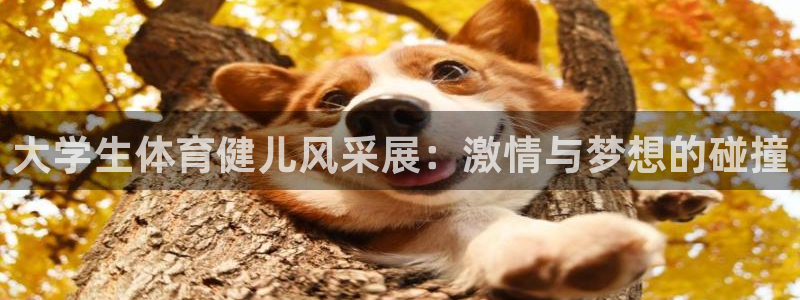 米兰体育：大学生体育健儿风采展：激情与梦想的碰撞