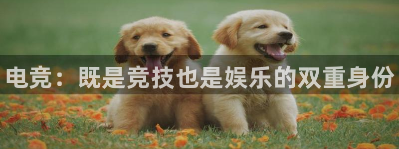 米兰体育官网入口：电竞：既是竞技也是娱乐的双重身份
