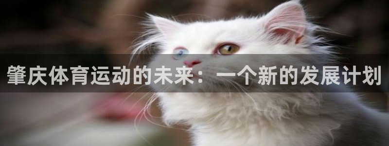 米兰体育网站：肇庆体育运动的未来：一个新的发展计划